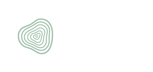 Salica Investments